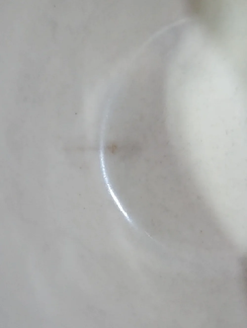 RedWing Speckled Beige Ceramic Teacup & Saucer with Blue Bird Motif
